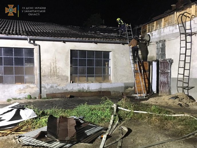 Велика пожежа на підприємстві: опубліковано фото – 05