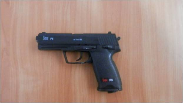 На кордоні з Румунією службовий собака винюхав у румуна пневматичний пістолет – 04