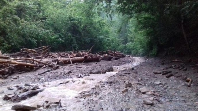 Оприлюднено фото з місця моторошної аварії, в якій загинуло 5 людей – 04