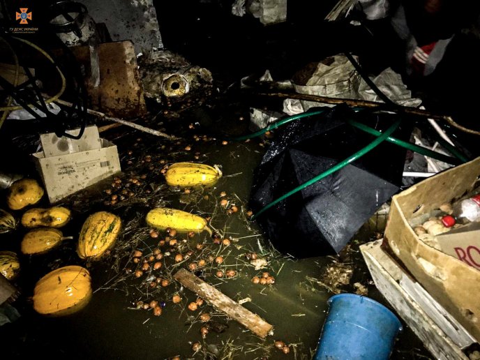 Рятувальники показали наслідки негоди, яка вирувала 27 жовтня на Закарпатті – 02