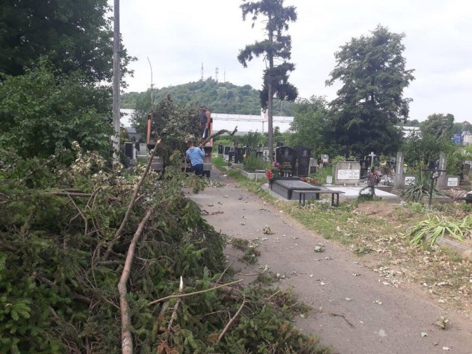 У Мукачеві взялися впорядковувати територію кладовища – 03