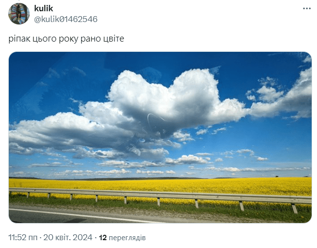 «Усі на поле»: що масово квітне в Україні після сакур – 08