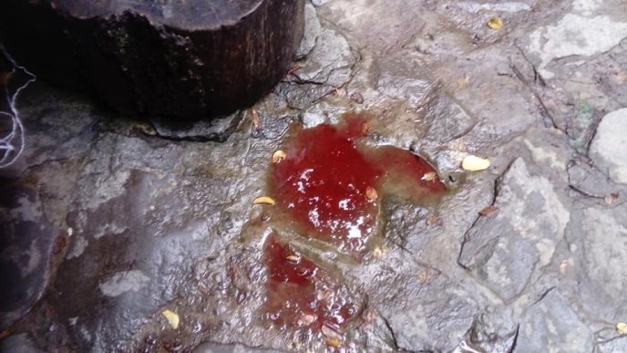 Жителі Ужгорода б’ють на сполох: вода в одній з криниць криваво-червоного кольору – 01