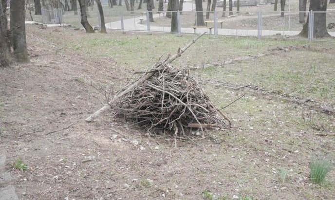 В Ужгороді відбувся загальноміський суботник – 17