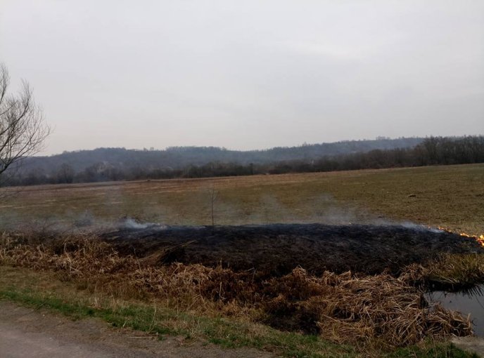 На Закарпатті згоріла Долина нарцисів – 04