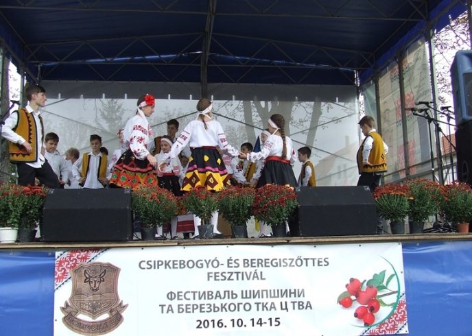 На Берегівщині відбувся фестиваль шипшини і ткацтва – 01