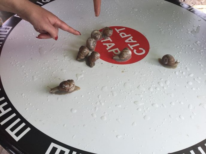 На Перечинщині відбулись незвичні перегони – 09