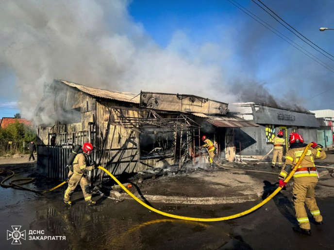 Люди в пожежі не постраждали / фото: ДСНС Закарпаття