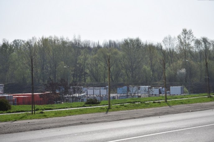 В Ужгороді висадили ще майже 200 дерев – 04