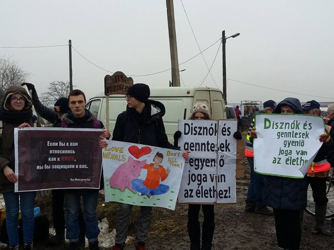 Вегани завітали на свято різників-гентешів у Гечі – 02