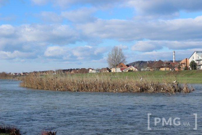 Січнева велика вода залишила по собі купу сміття на берегах Латориці – 05 Січнева велика вода залишила по собі купу сміття на берегах Латориці – 05