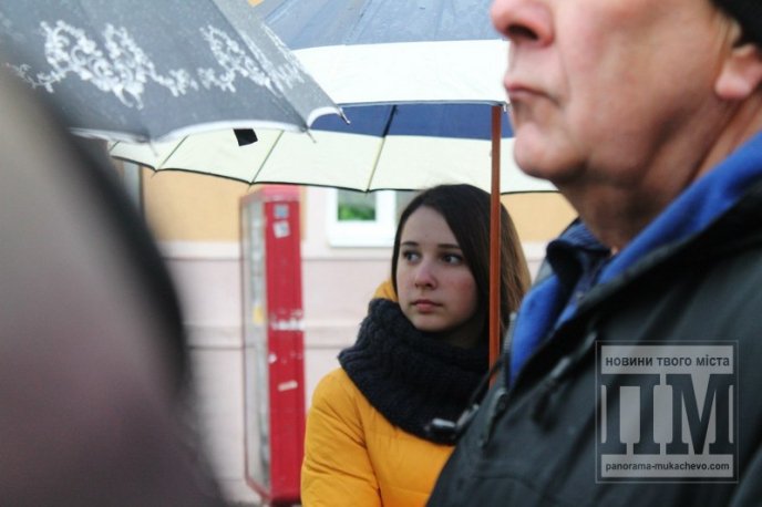 Мукачівці намагались розгадати секрет невідомого пам’ятника на вулиці Пушкіна (ФОТОРЕПОРТАЖ) – 06