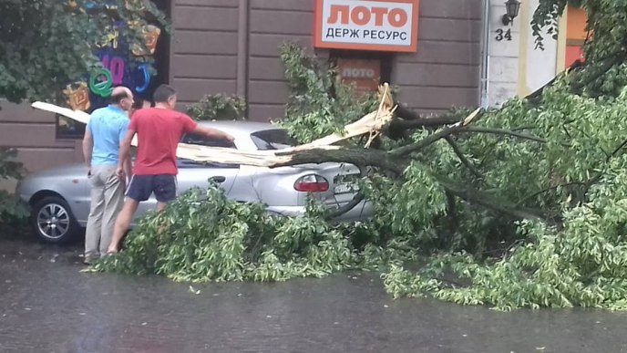Буря в Ужгороді: дерева потрощили автомобілі  – 02