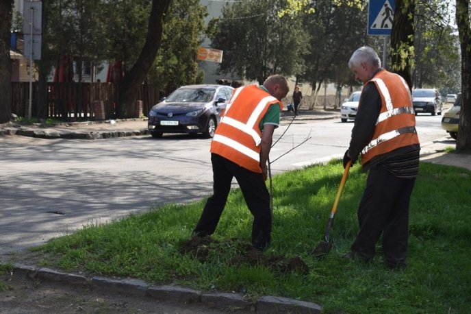В Ужгороді висадили ще майже 200 дерев – 06