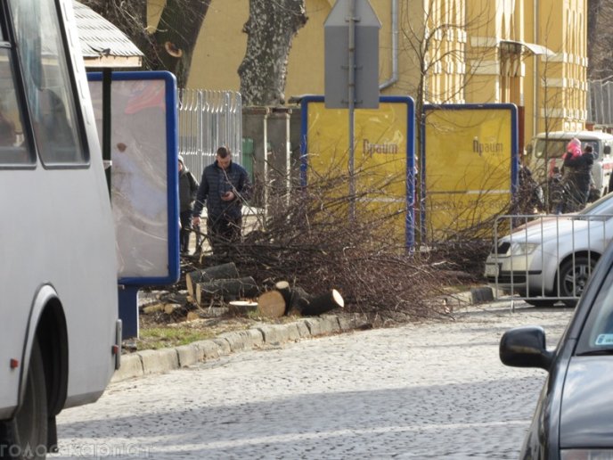 Комунальники зрізали на вулиці Пушкіна у Мукачеві паркан та кілька дерев – 05