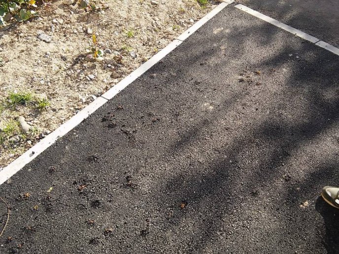 Ще на одній вулиці Мукачева асфальт проріс травою – 04