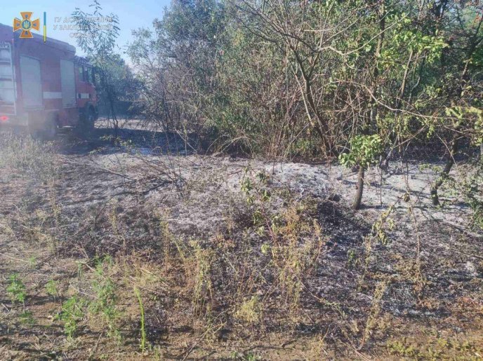 У селі на Ужгородщині піймали палія сухостою – 02