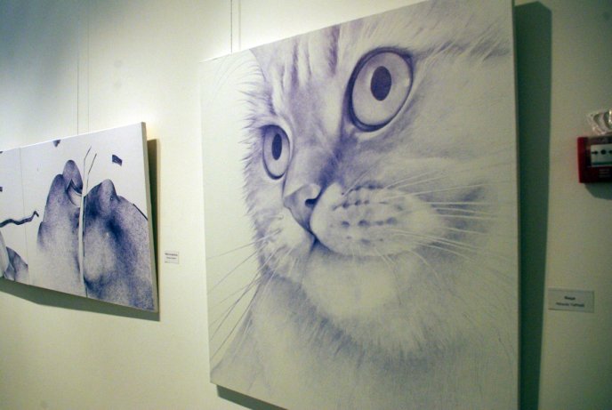 В Ужгороді відкрилась виставка малюнків, які виконані кульковою ручкою (ФОТО) – 06