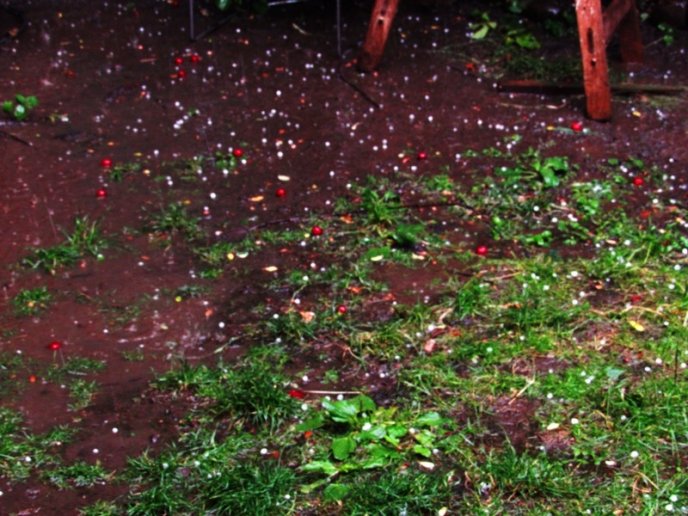 У Мукачеві під час сильної зливи випав град розміром з вишню – 04