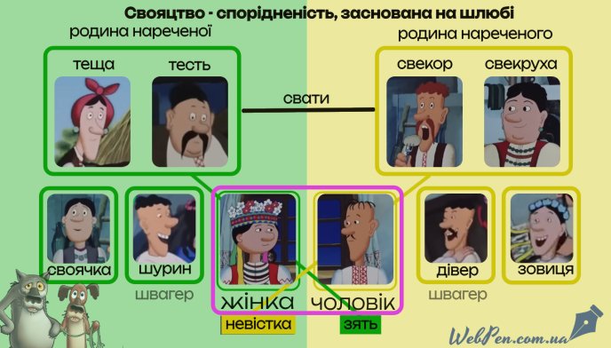 Хто такий дівер та шуряк: просте пояснення, хто кому родич – 01 Пояснення, хто кому родич. Ілюстрація видання «Грамотна українська»