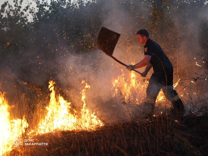 Рятувальники показали, як ліквідували масштабну пожежу на Ужгородщині – 05 Рятувальники показали, як ліквідували масштабну пожежу на Ужгородщині – 05