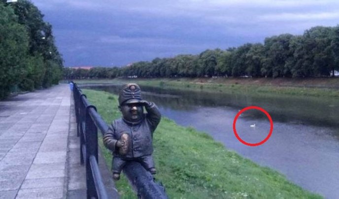 Зранку в Ужгороді на річці фотографували "лохнеське чудовисько" – 01