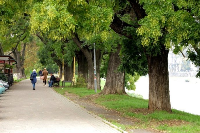 Мережу облетіли фото осіннього Ужгорода – 05