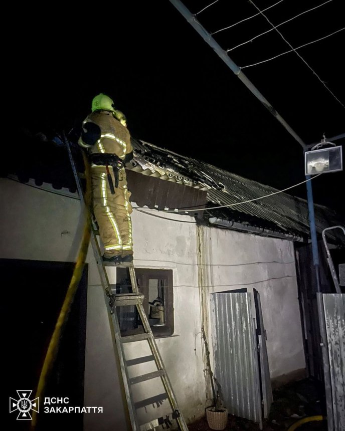 Пожежники швидко впоралися з вогнем / фото: ДСНС Закарпаття