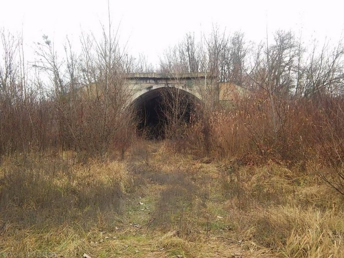 Мукачівський аеродром нагадує зону відчуження: як він зараз виглядає – 09