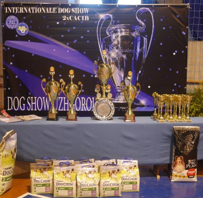 В Ужгороді визначили переможця Міжнародної виставки собак – 02