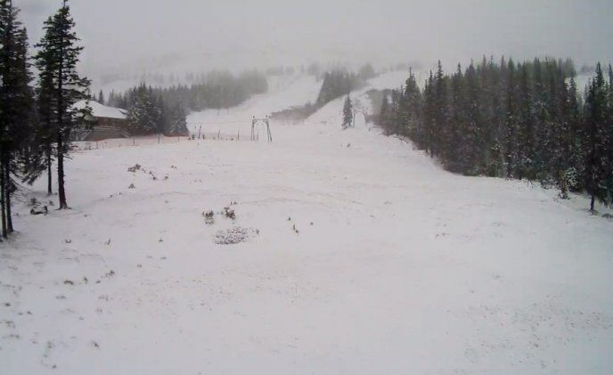 У ніч на Новий рік гори Закарпаття засипало снігом. Сніг продовжує падати – 02