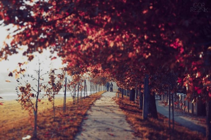 Туристичний імідж Мукачева – 10