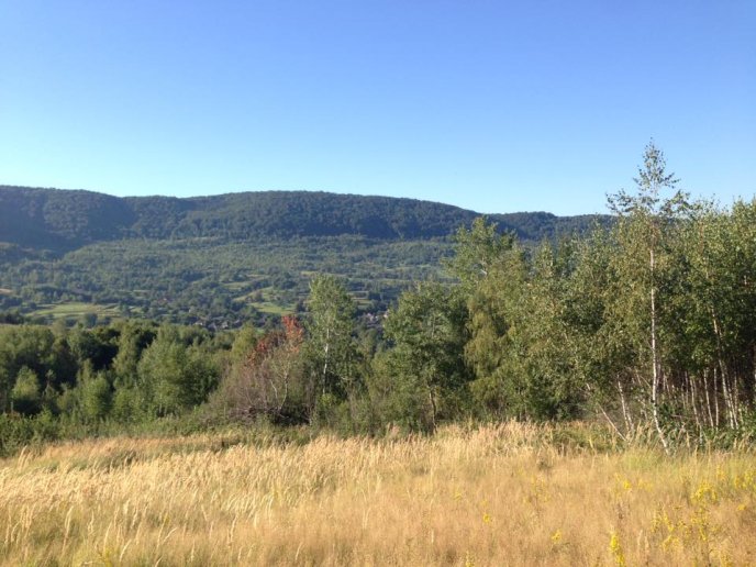 На Закарпатті киянин назбирав 114 кілограмів білих грибів – 14