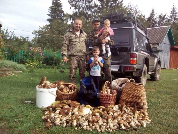 У мережі набирають популярності світлини великої кількості грибів, зібраних у Карпатах – 02