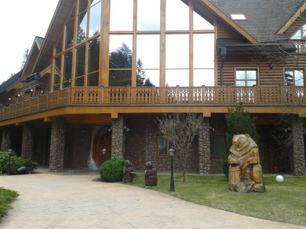 З’явились перші фото із захопленої дачі Віктора Медведчука у Жденієві (ФОТО) – 07