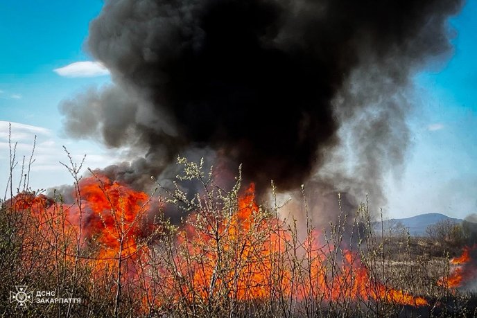 Майже 60 людей гасили масштабну пожежу на Закарпатті – 03