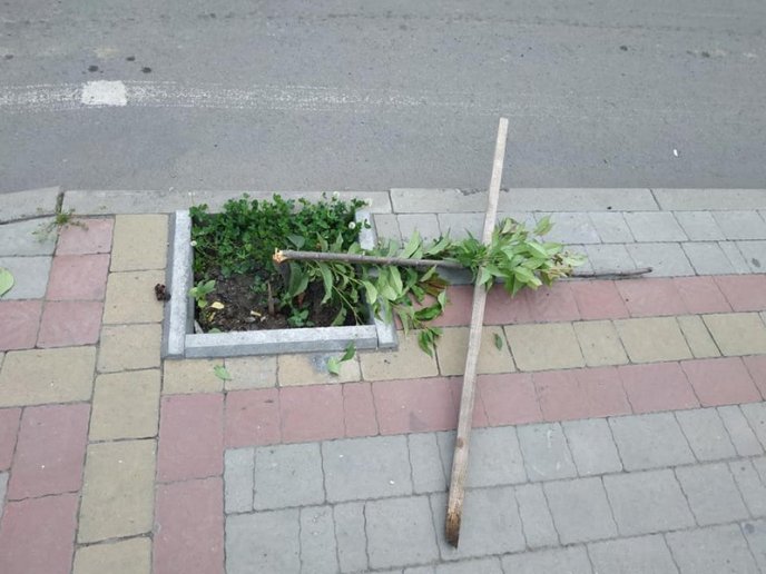 У Хусті невідомі вчинили акт вандалізму – 01