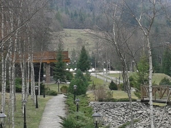 З’явились перші фото із захопленої дачі Віктора Медведчука у Жденієві (ФОТО) – 04