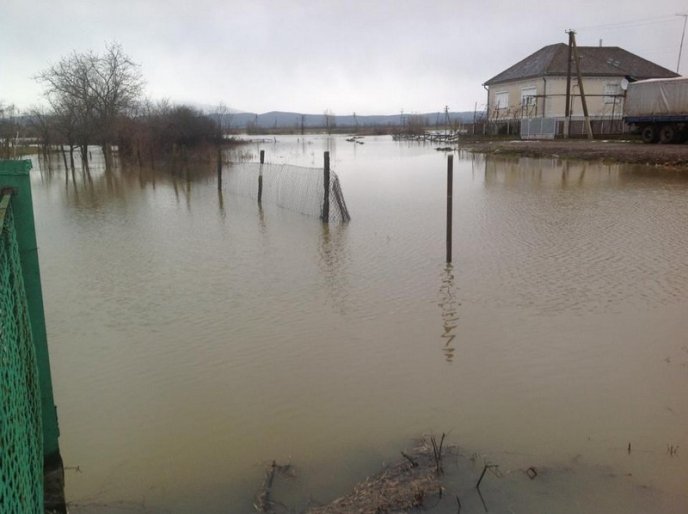 Мукачівський район у воді: підтоплено 150 дворогосподарств, людям підвозять питну воду (ФОТО) – 08