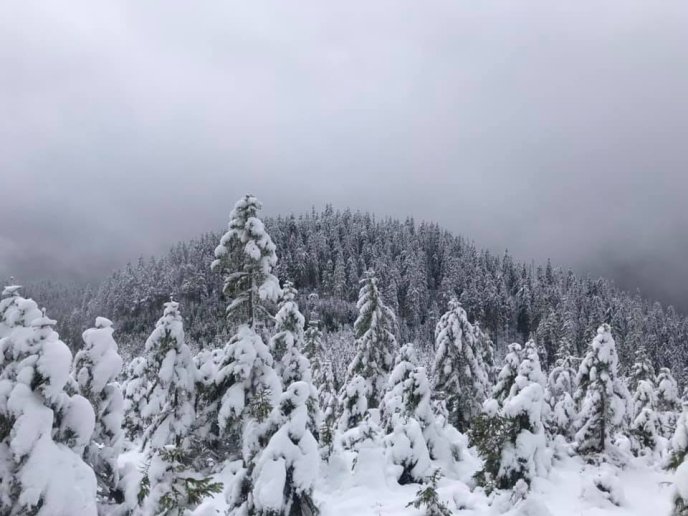 Синевир замело снігом, — соцмережі – 06