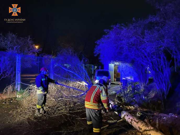 Повалені дерева, зірвані дахи, знеструмлені села: що вночі накоїла негода на Закарпатті – 01