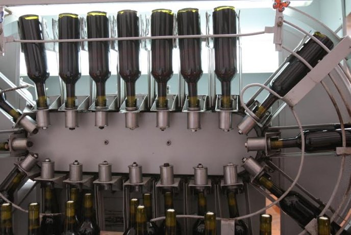 Під час візиту на Берегівщину губернатор Закарпаття пообіцяв захистити виноробів і пивоварів – 06