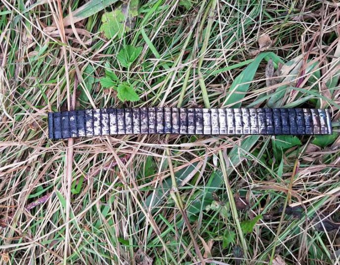 У лісі знайшли тіло жінки – 02 У лісі знайшли тіло жінки – 02