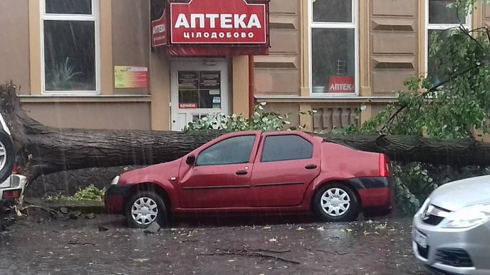 Буря в Ужгороді: дерева потрощили автомобілі  – 03