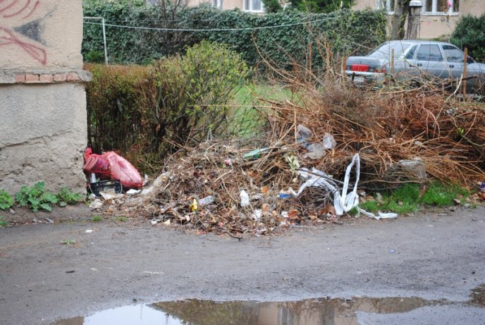 Толока в Мукачеві крізь об’єктив нашого кореспондента (ФОТОРЕПОРТАЖ) – 24