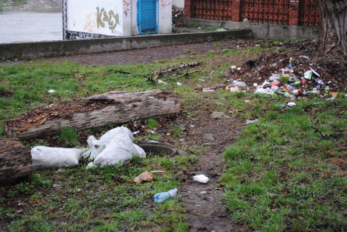 Толока в Мукачеві крізь об’єктив нашого кореспондента (ФОТОРЕПОРТАЖ) – 16