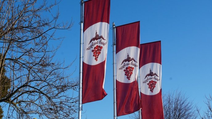 Банош, глінтвейн, бограч, палинка, рулька: чим пригощають на фестивалі "Червене вино 2022" – 03