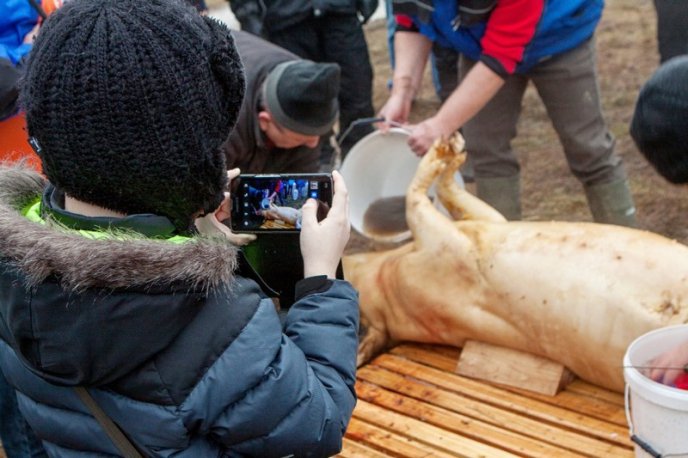 Колоритний фестиваль Гентешів у селі Геча: як це було – 07