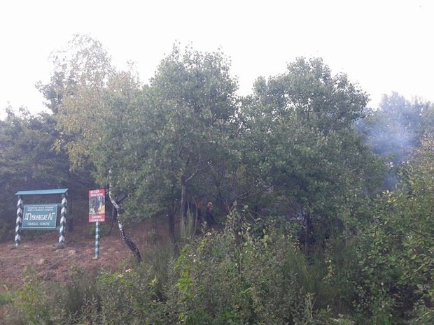 У Чинадієві неподалік траси пожежа – 02