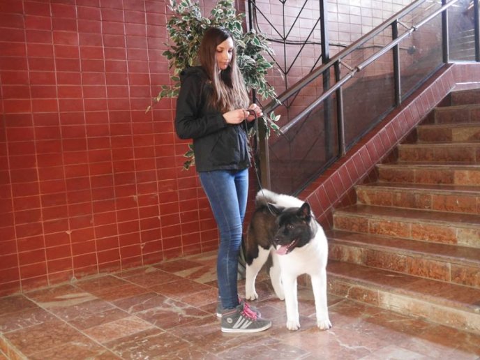 В обласному центрі стартувала міжнародна виставка собак – 08